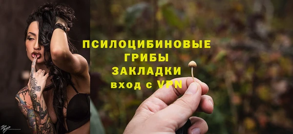 бошки Армянск