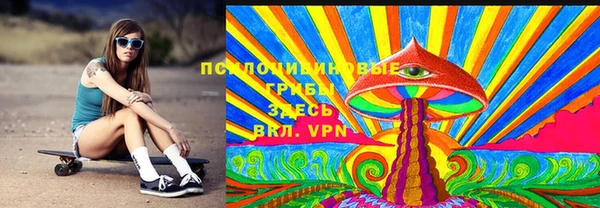 сатива Арсеньев