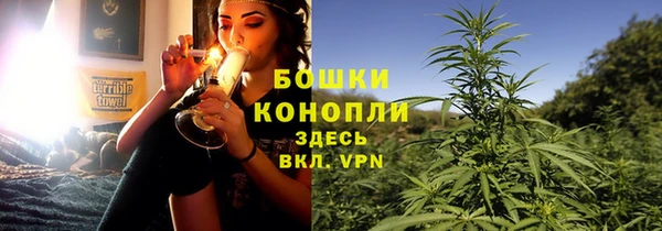 сатива Арсеньев