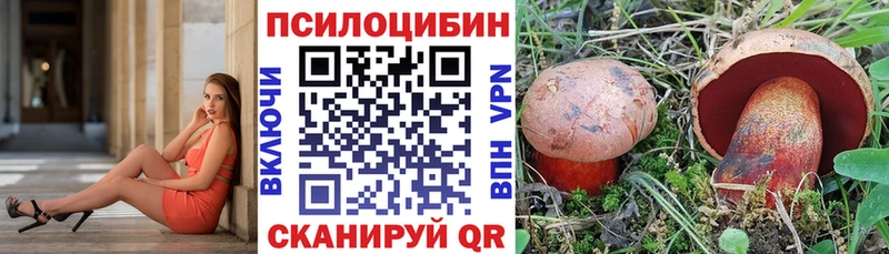 Купить закладки  Волоколамск  Галлюциногенные грибы мицелий 